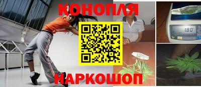 бошки Кингисепп