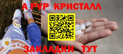 бошки Кингисепп